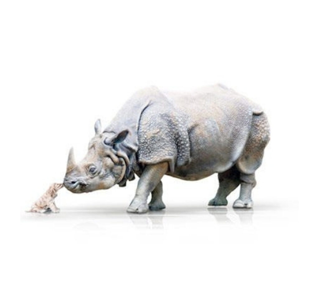 2O-Bienvenue Un chiot et un rhinocéros