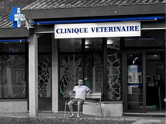 2O-Header-2 Extérieur de la Clinique vétérinaire des 2 Ormeaux à Ramonville